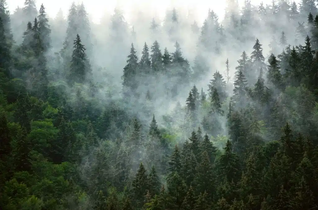 La Forêt quitte le ministère de l’agriculture, mais pas ses agents