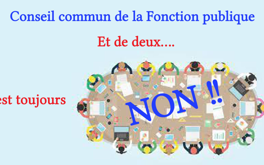 Conseil commun de la Fonction publique