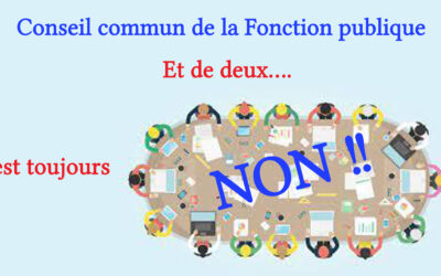 Conseil commun de la Fonction publique